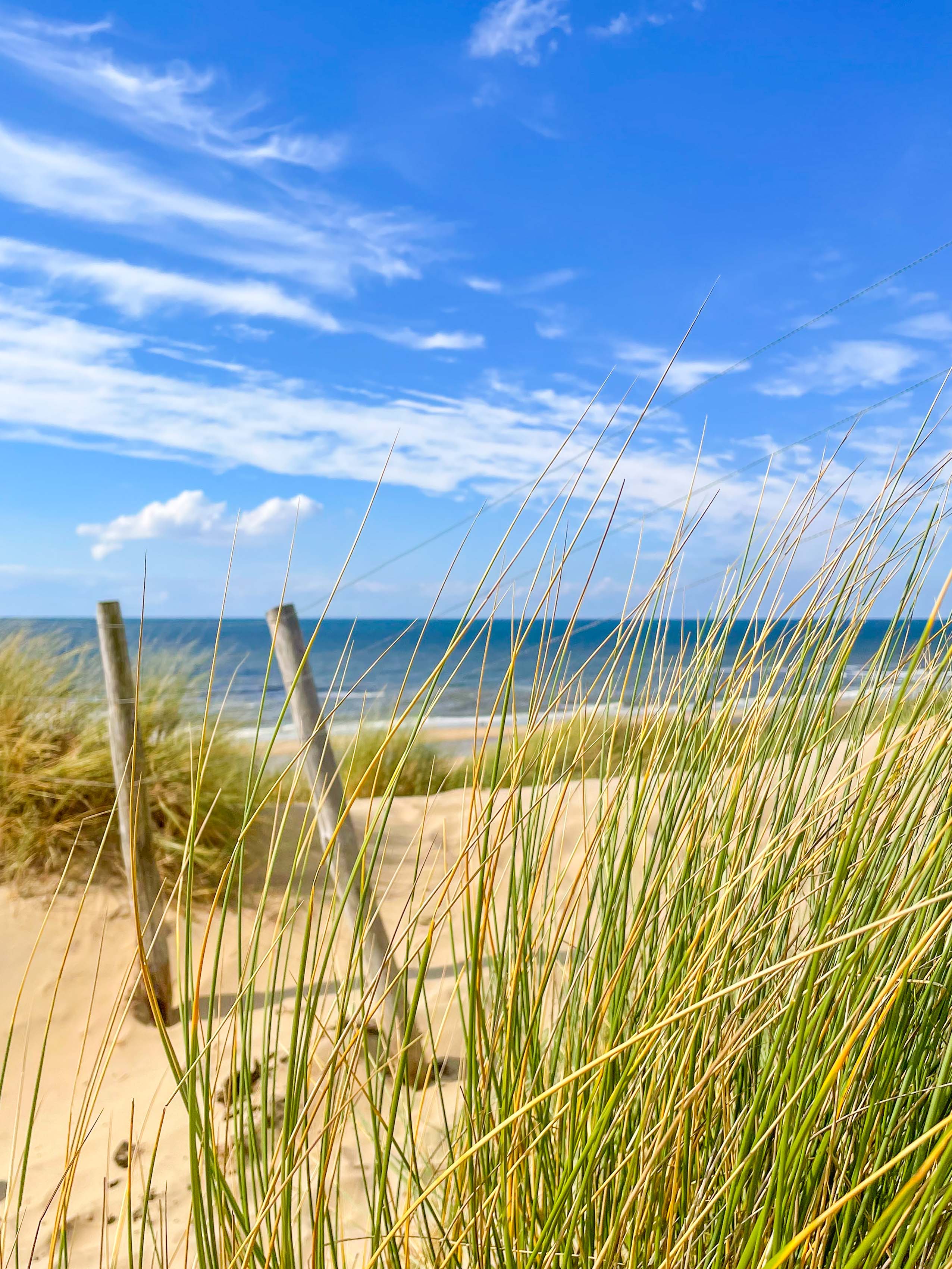 Duinlandschap aan zee